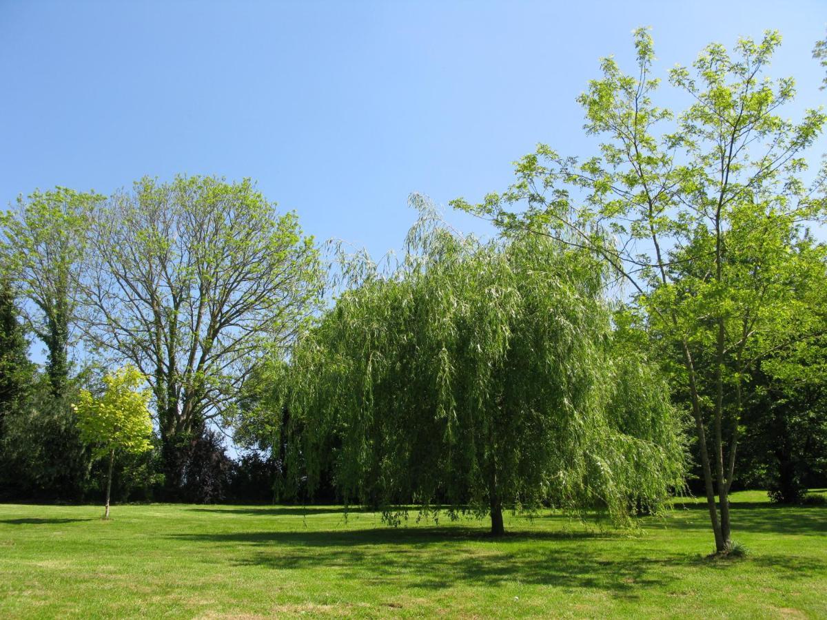 Gite Ligerie Saint-Martin-des-Pezerits ภายนอก รูปภาพ
